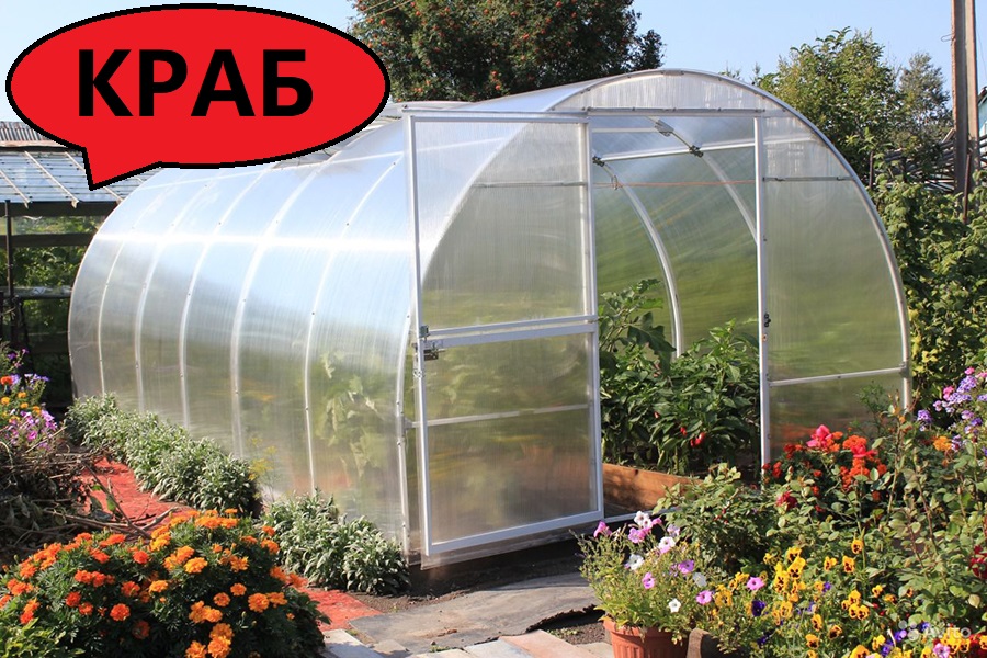 семена для теплицы из поликарбоната. теплица из поликарбоната уралочка усиленная. семена для теплицы из поликарбоната. семена помидор для теплицы самоопыляемые. коллекция валентины редько сорта томатов 2019.